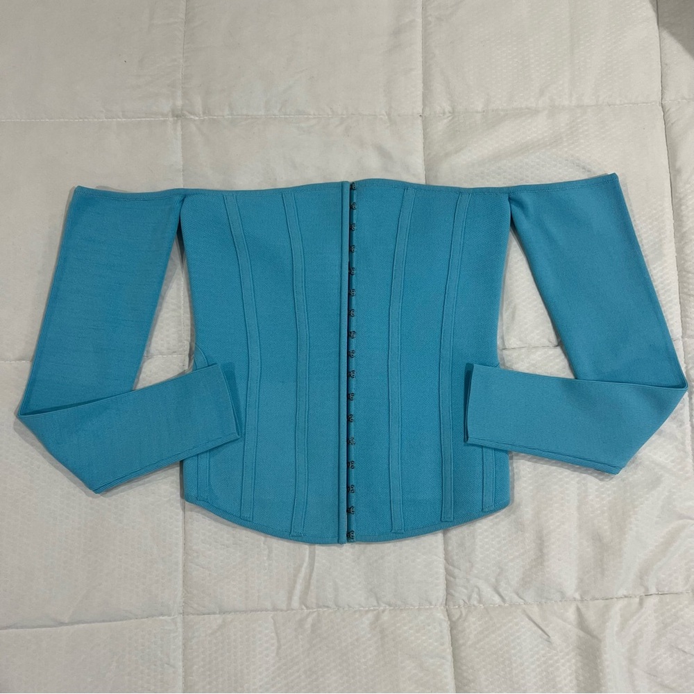 ZARA KNIT LONG SLEEVE BUSTIER